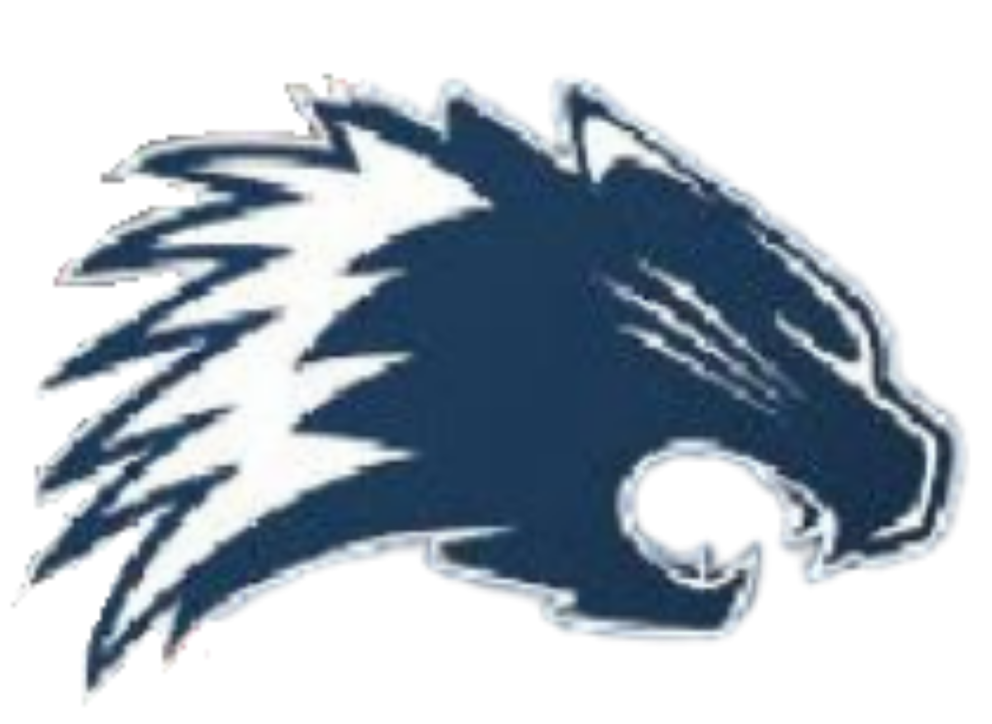 Crestwood Girls Flag Football